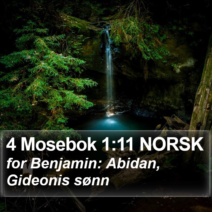 4 Mosebok 1:11 NORSK Bible Study