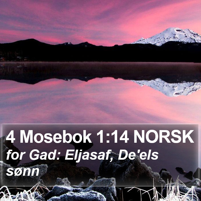 4 Mosebok 1:14 NORSK Bible Study