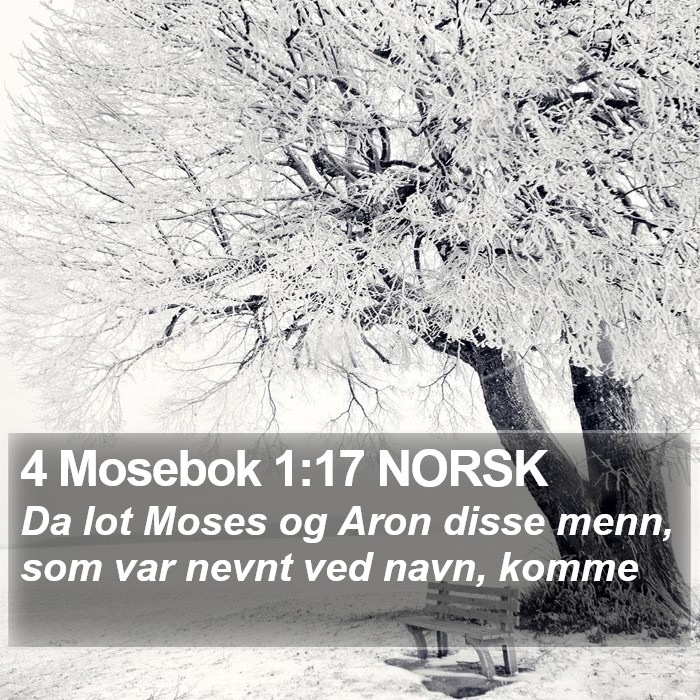 4 Mosebok 1:17 NORSK Bible Study