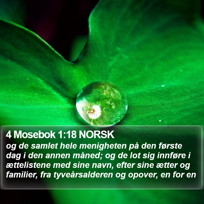 4 Mosebok 1:18 NORSK Bible Study