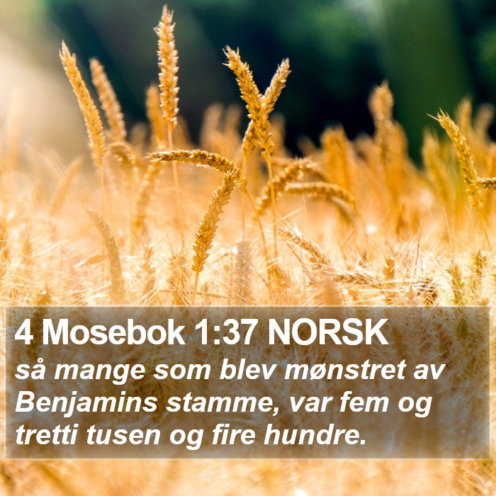 4 Mosebok 1:37 NORSK Bible Study