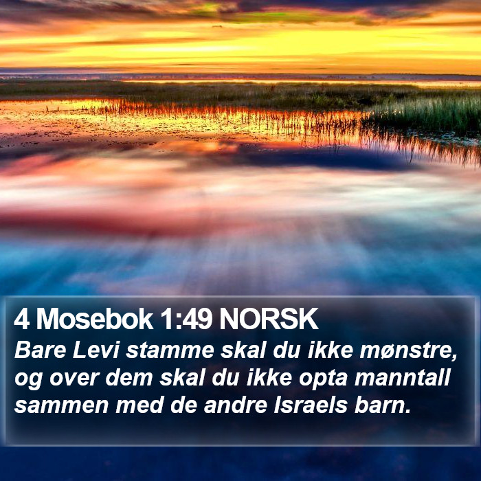 4 Mosebok 1:49 NORSK Bible Study