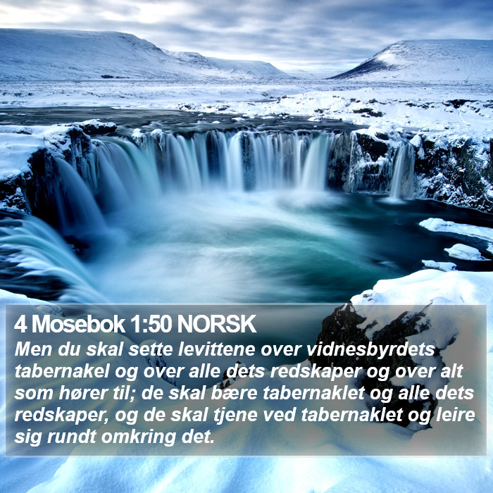 4 Mosebok 1:50 NORSK Bible Study