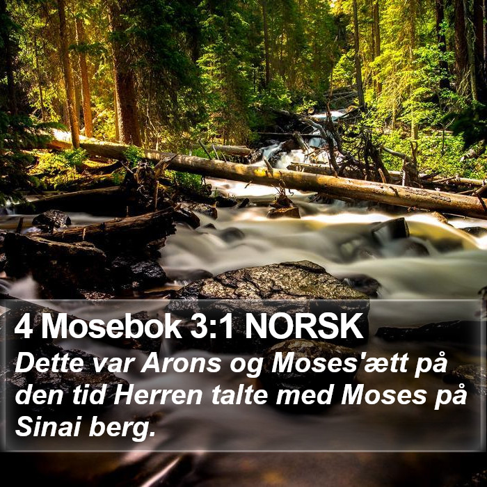 4 Mosebok 3:1 NORSK Bible Study