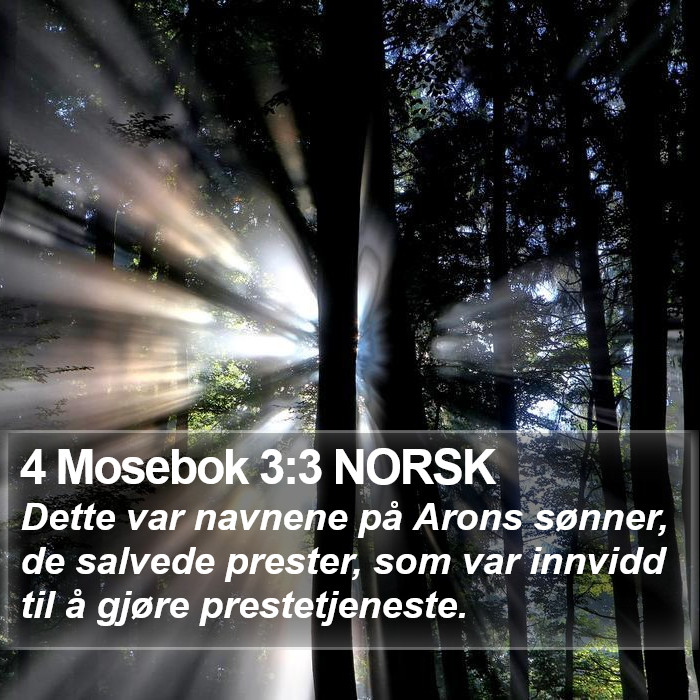 4 Mosebok 3:3 NORSK Bible Study