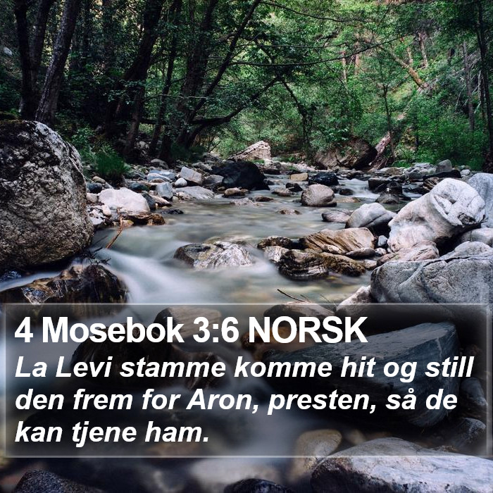 4 Mosebok 3:6 NORSK Bible Study