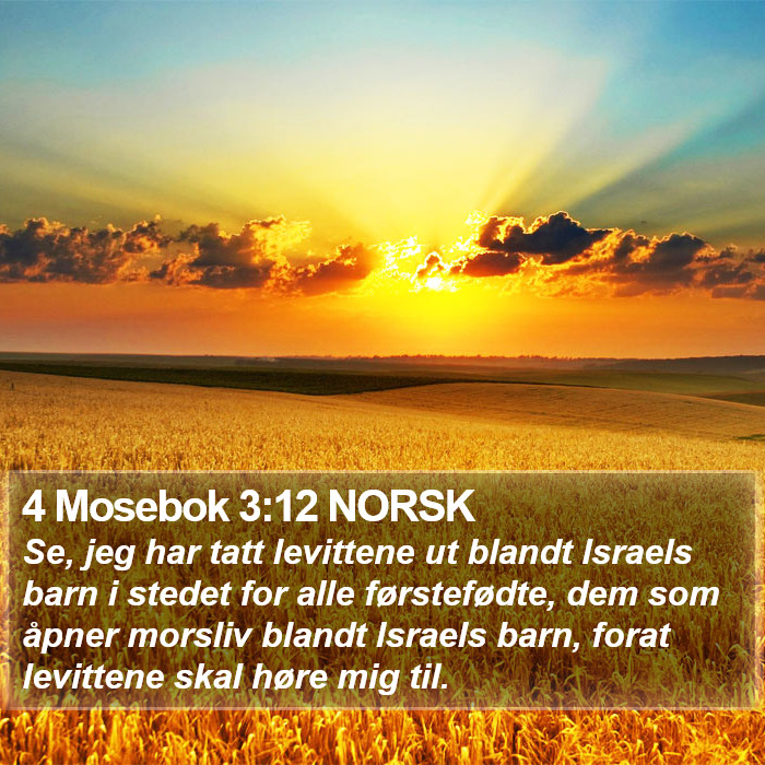 4 Mosebok 3:12 NORSK Bible Study