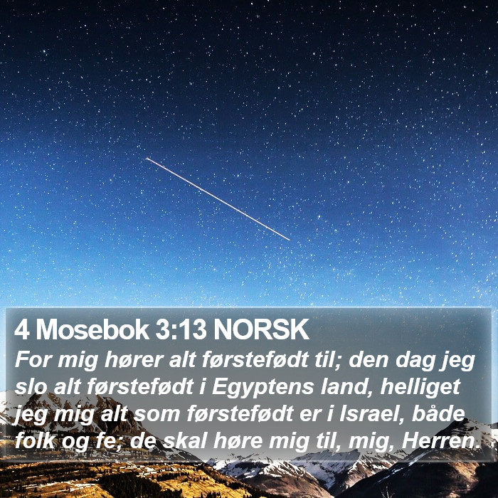 4 Mosebok 3:13 NORSK Bible Study