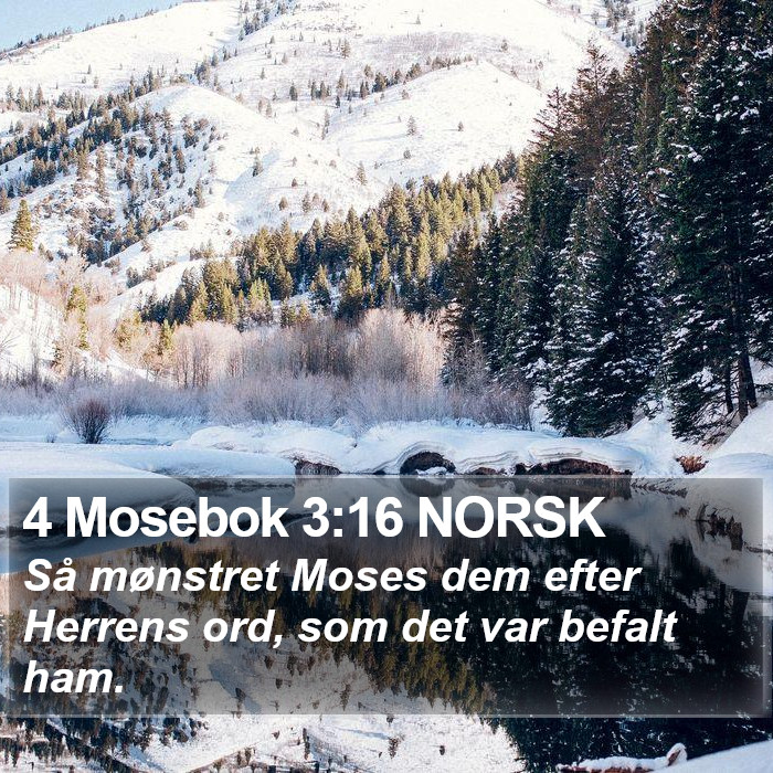 4 Mosebok 3:16 NORSK Bible Study