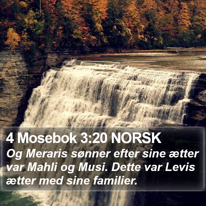 4 Mosebok 3:20 NORSK Bible Study