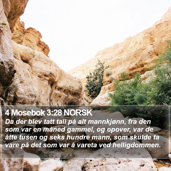 4 Mosebok 3:28 NORSK Bible Study