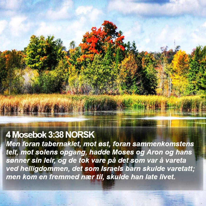 4 Mosebok 3:38 NORSK Bible Study