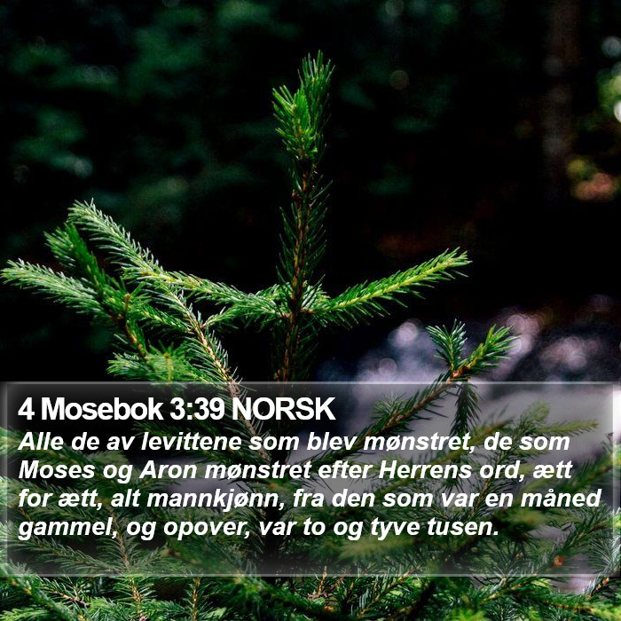 4 Mosebok 3:39 NORSK Bible Study