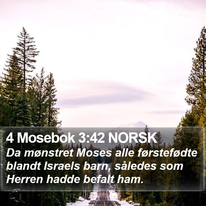 4 Mosebok 3:42 NORSK Bible Study