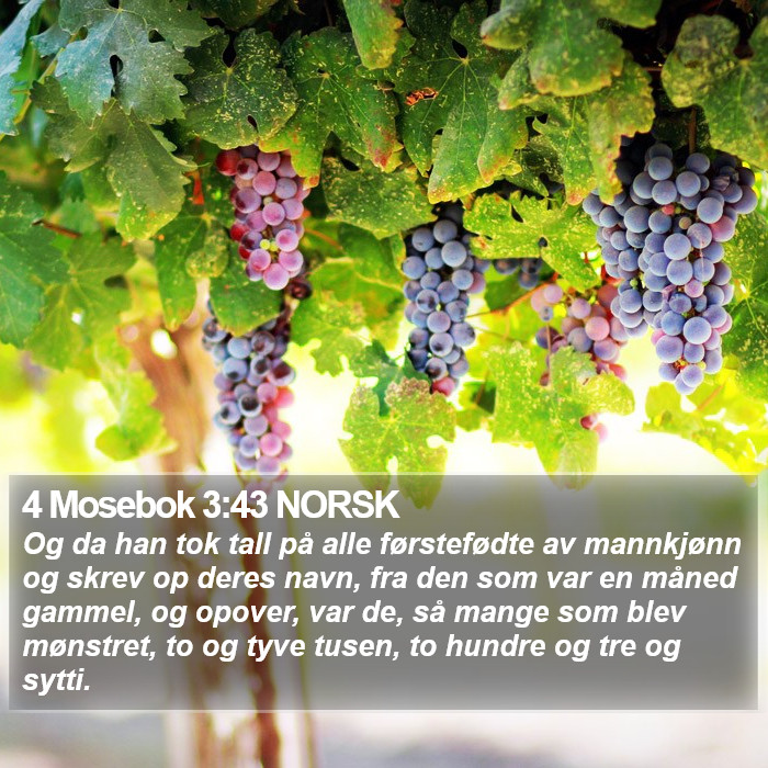 4 Mosebok 3:43 NORSK Bible Study