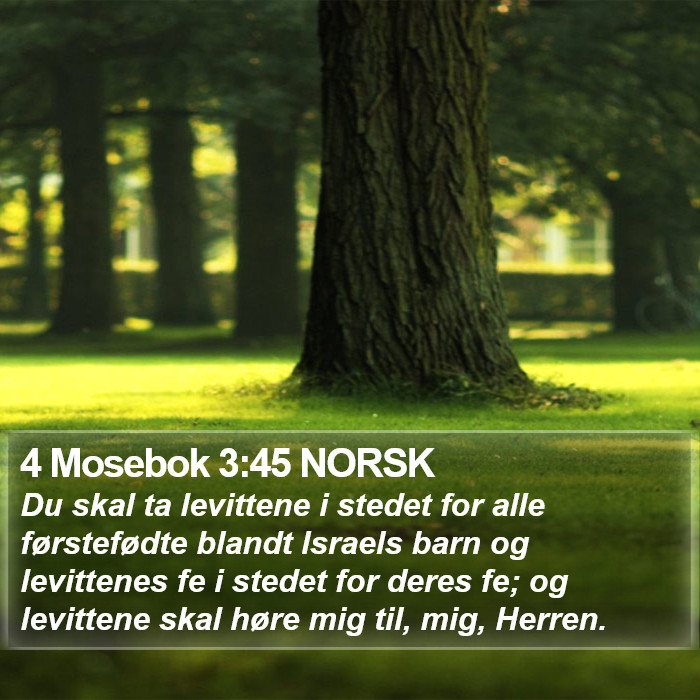 4 Mosebok 3:45 NORSK Bible Study