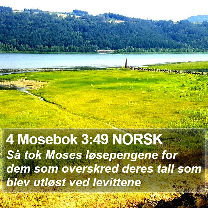 4 Mosebok 3:49 NORSK Bible Study