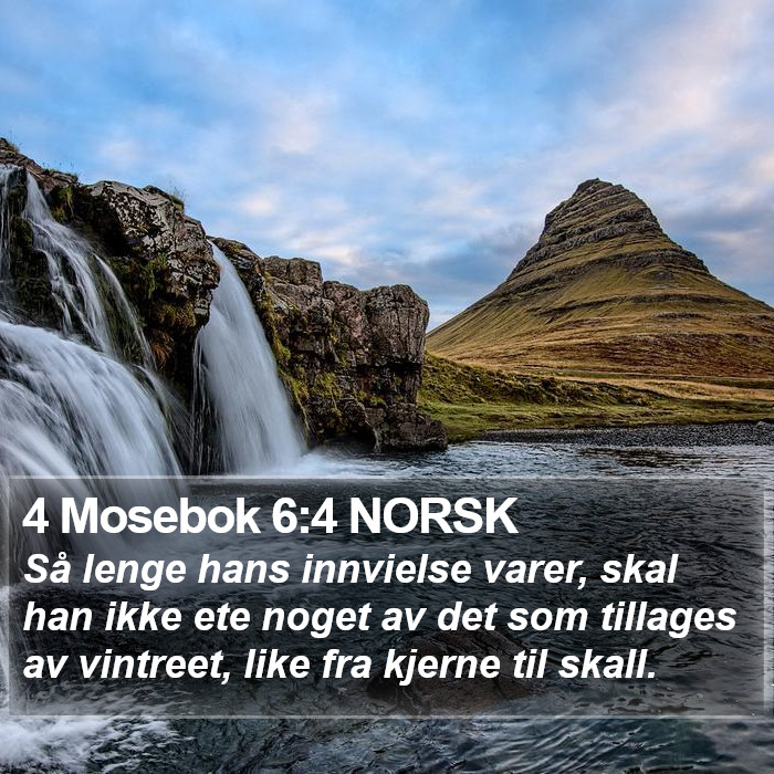 4 Mosebok 6:4 NORSK Bible Study
