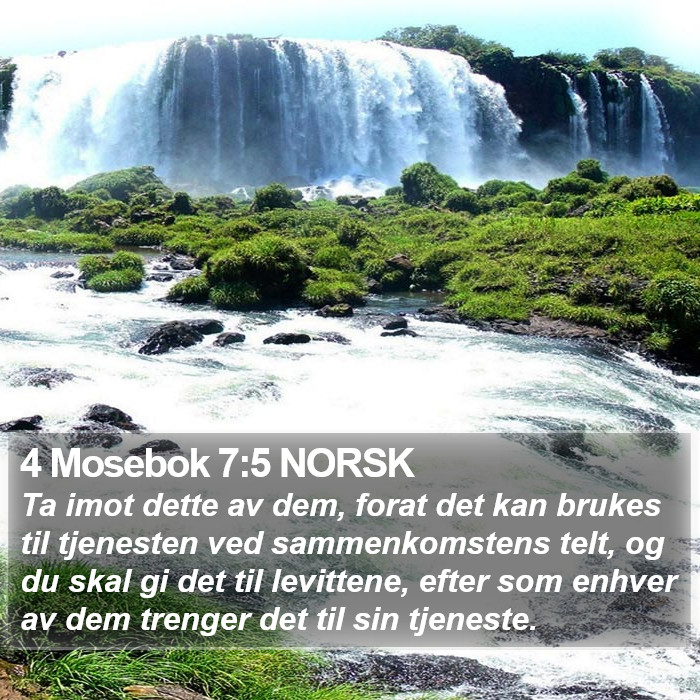 4 Mosebok 7:5 NORSK Bible Study