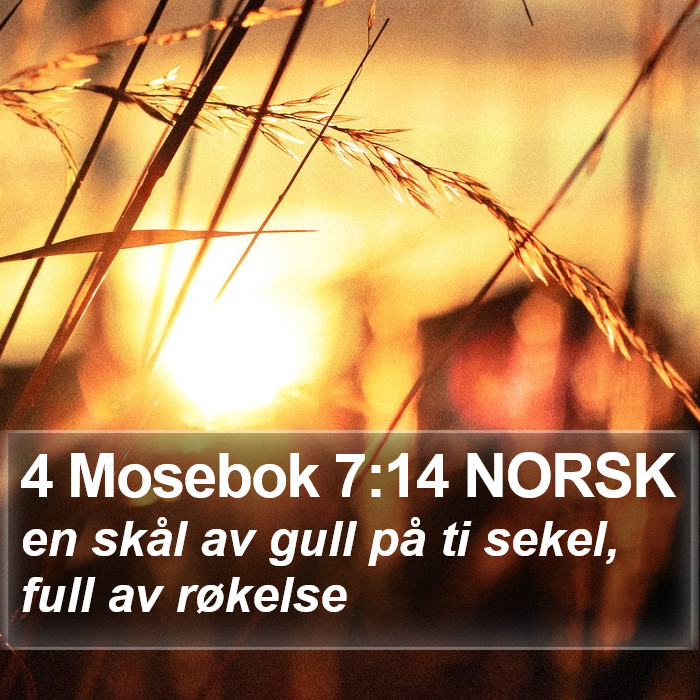 4 Mosebok 7:14 NORSK Bible Study