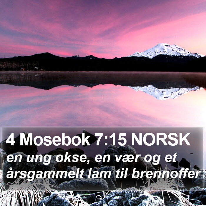 4 Mosebok 7:15 NORSK Bible Study