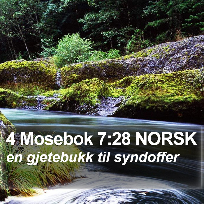 4 Mosebok 7:28 NORSK Bible Study