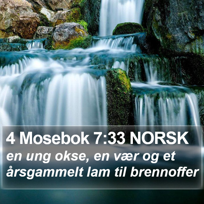 4 Mosebok 7:33 NORSK Bible Study