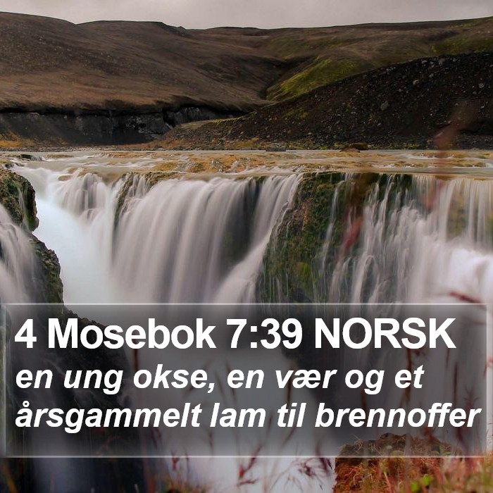 4 Mosebok 7:39 NORSK Bible Study