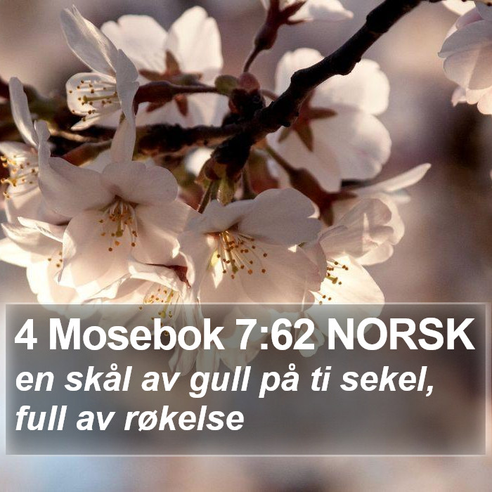 4 Mosebok 7:62 NORSK Bible Study