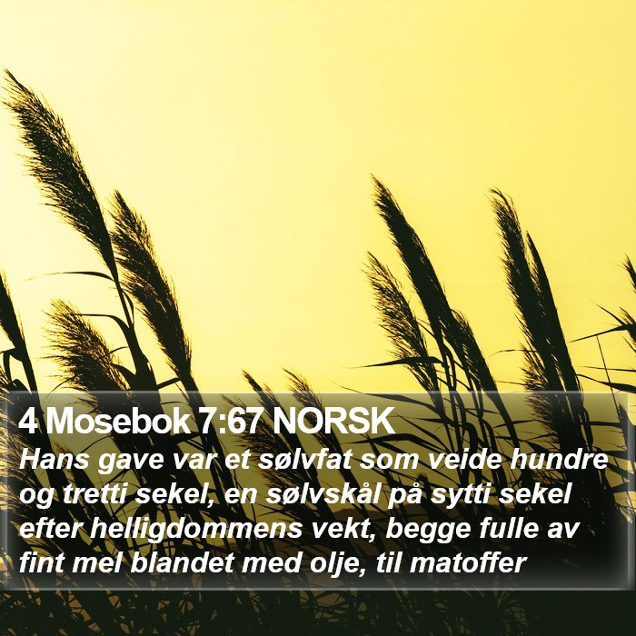 4 Mosebok 7:67 NORSK Bible Study