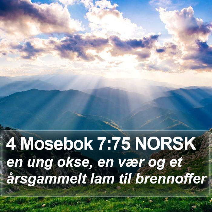 4 Mosebok 7:75 NORSK Bible Study