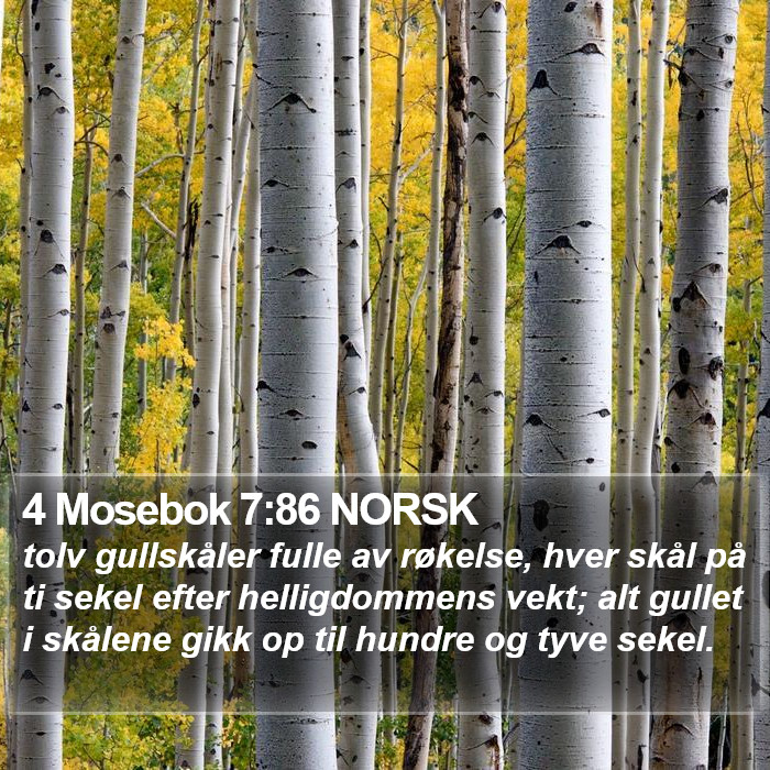 4 Mosebok 7:86 NORSK Bible Study