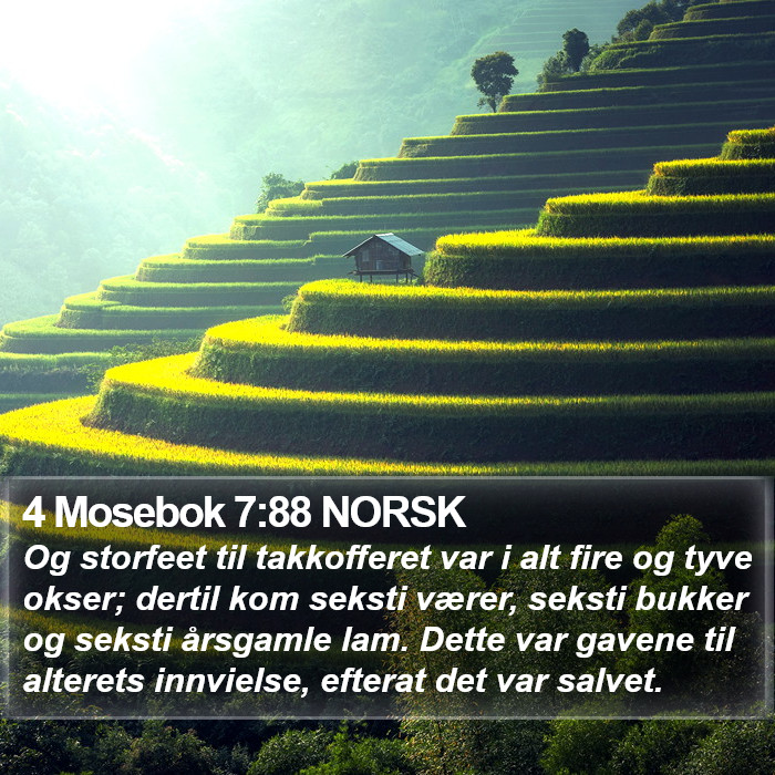 4 Mosebok 7:88 NORSK Bible Study