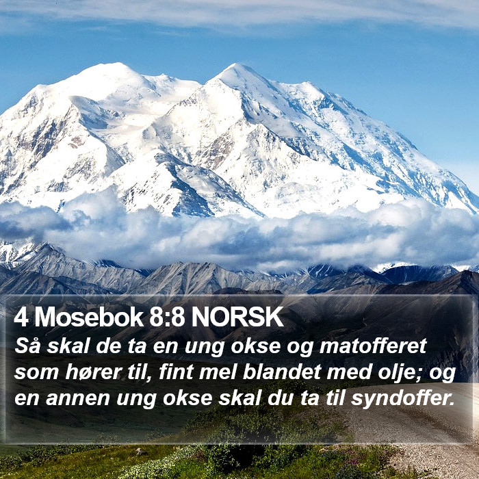 4 Mosebok 8:8 NORSK Bible Study