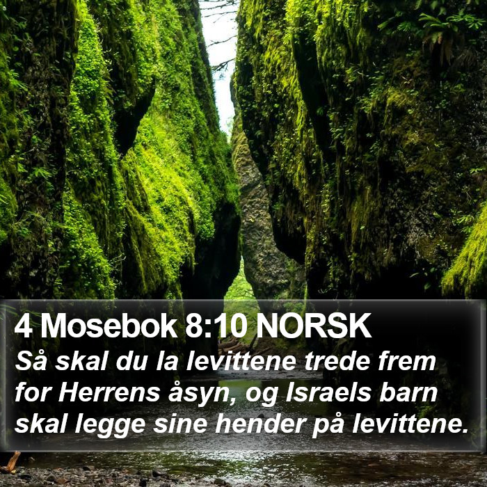 4 Mosebok 8:10 NORSK Bible Study