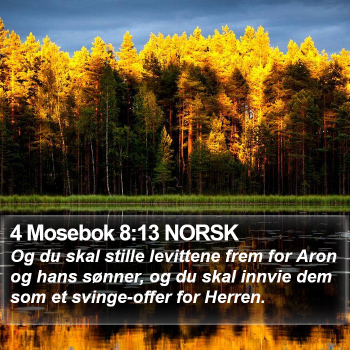 4 Mosebok 8:13 NORSK Bible Study