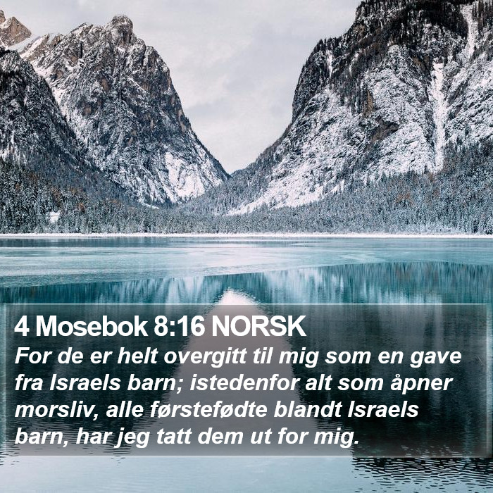 4 Mosebok 8:16 NORSK Bible Study