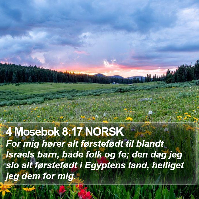 4 Mosebok 8:17 NORSK Bible Study