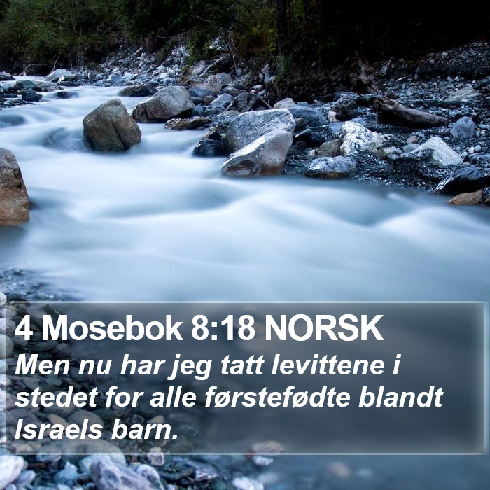 4 Mosebok 8:18 NORSK Bible Study