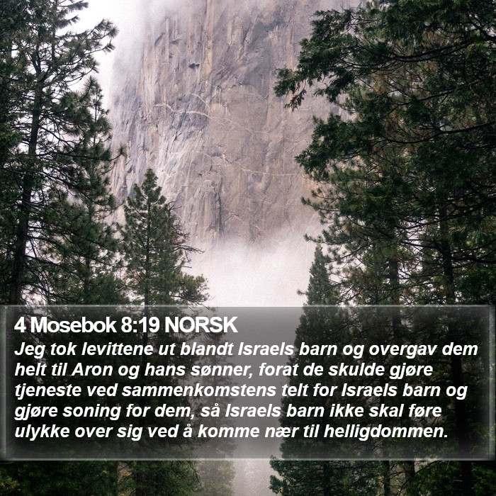 4 Mosebok 8:19 NORSK Bible Study