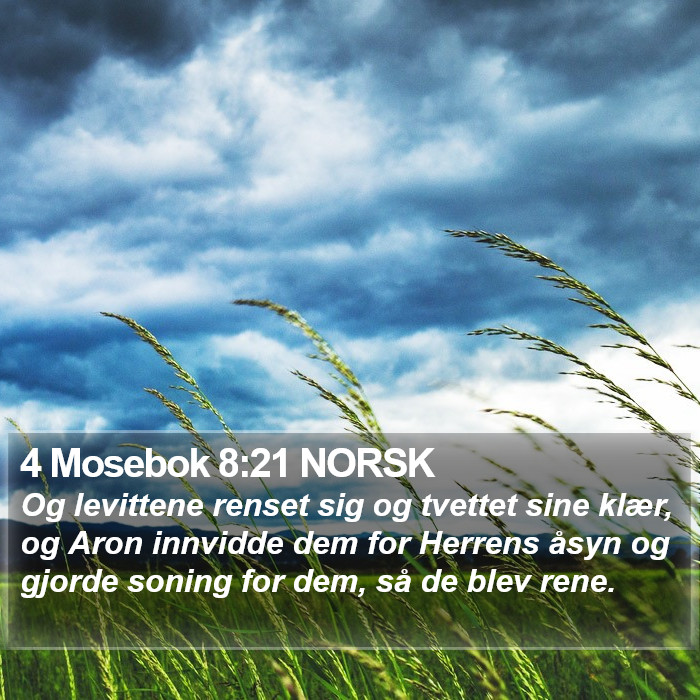 4 Mosebok 8:21 NORSK Bible Study