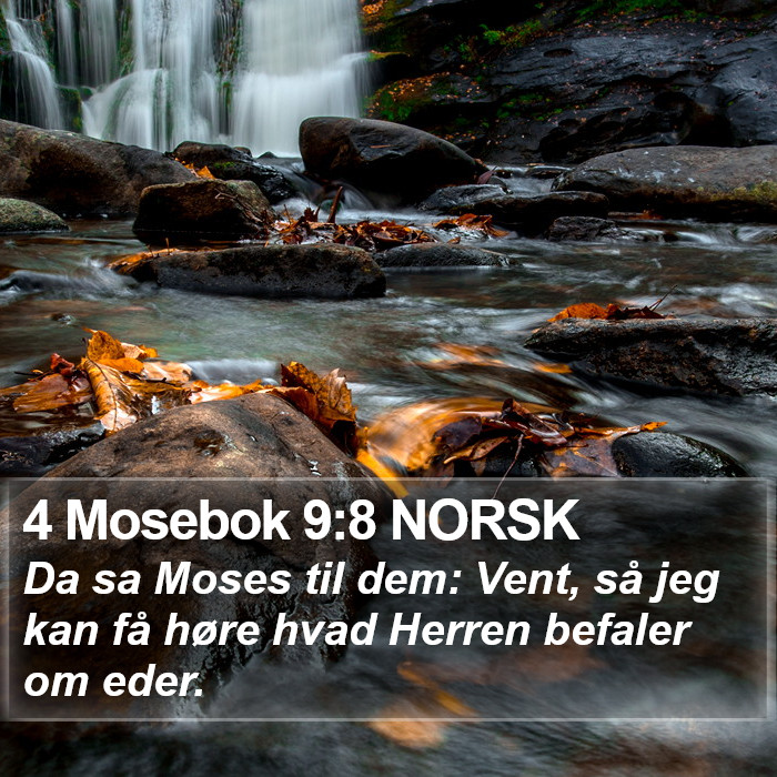 4 Mosebok 9:8 NORSK Bible Study