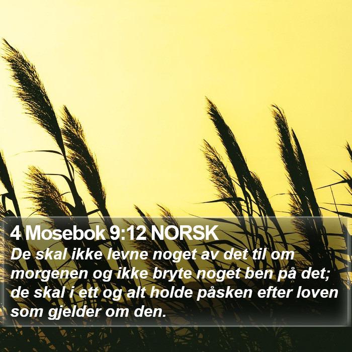 4 Mosebok 9:12 NORSK Bible Study