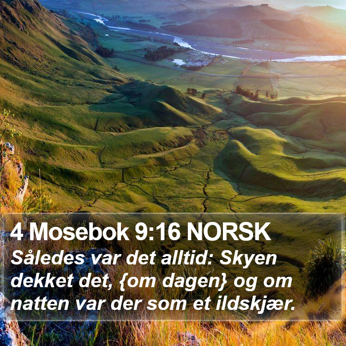 4 Mosebok 9:16 NORSK Bible Study