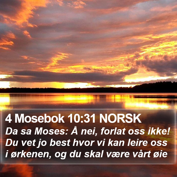 4 Mosebok 10:31 NORSK Bible Study