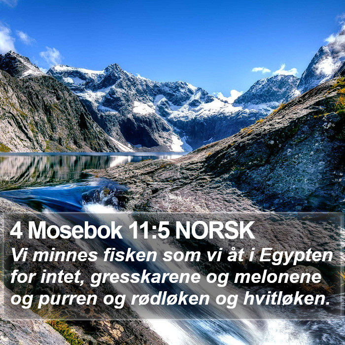 4 Mosebok 11:5 NORSK Bible Study