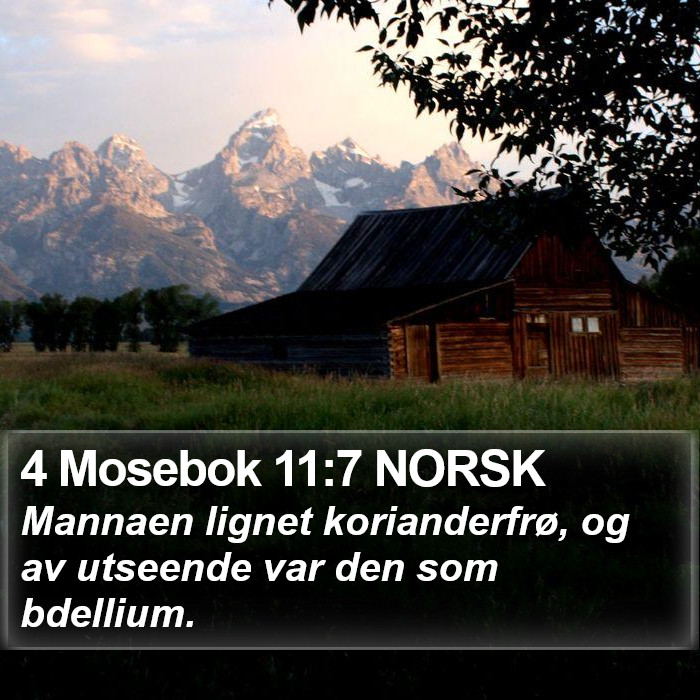 4 Mosebok 11:7 NORSK Bible Study