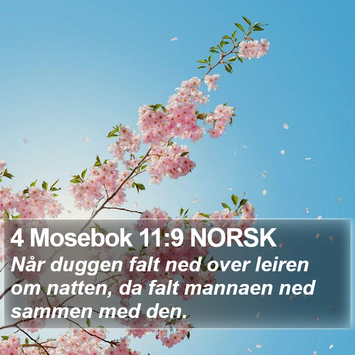 4 Mosebok 11:9 NORSK Bible Study