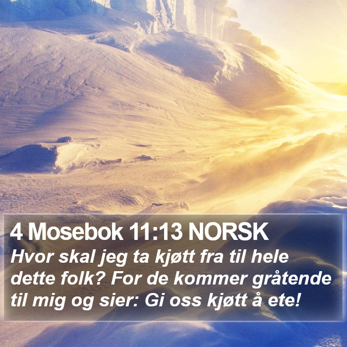 4 Mosebok 11:13 NORSK Bible Study