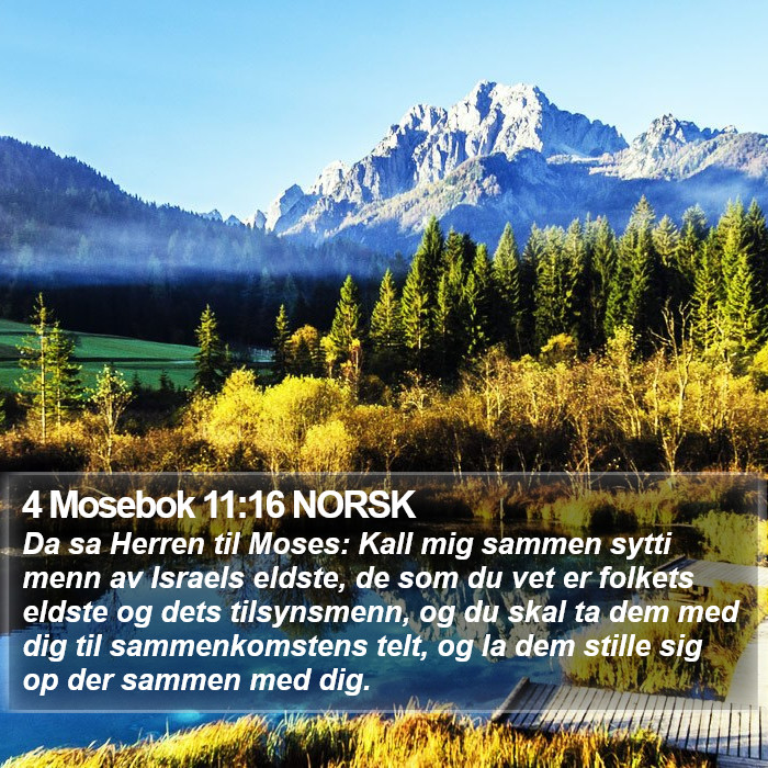 4 Mosebok 11:16 NORSK Bible Study